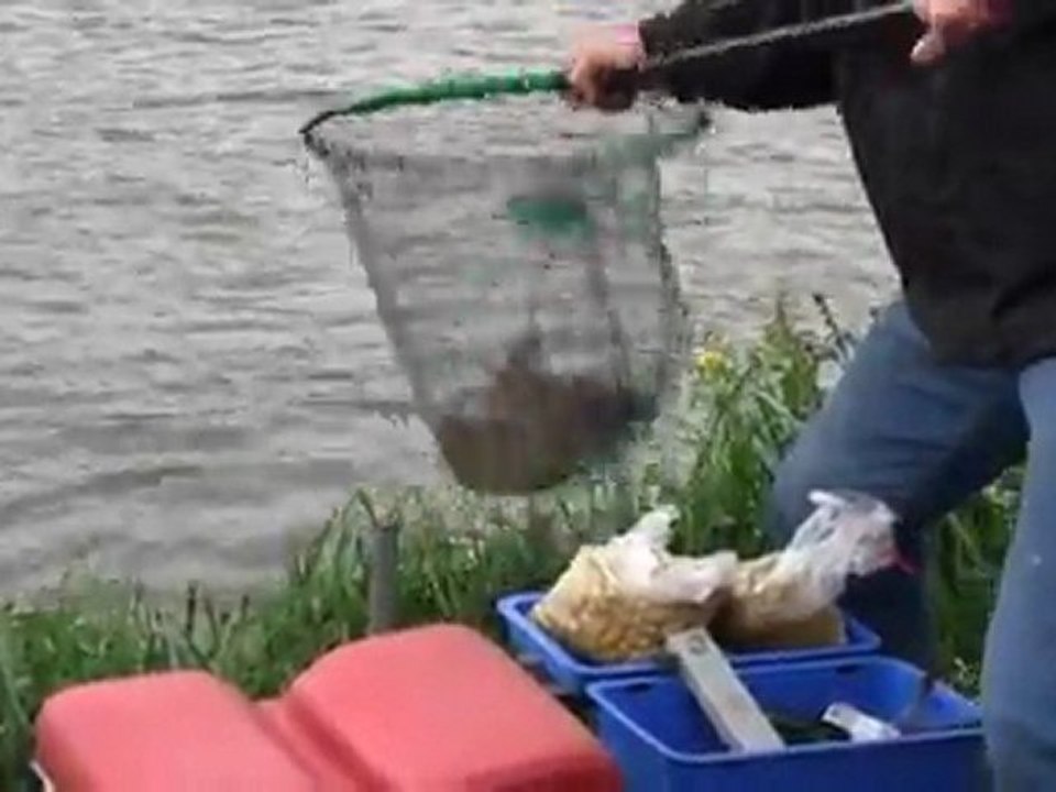 A peine arrivé, on se fait atteler