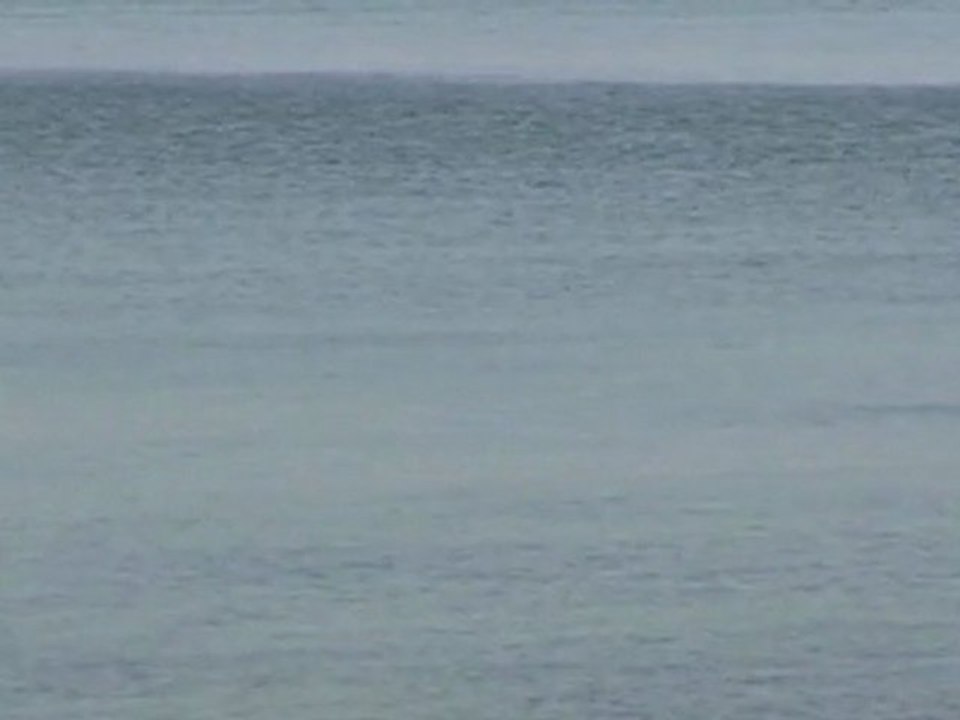 Being Water - loin -