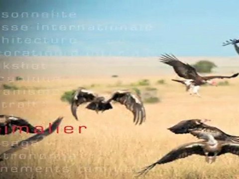 Photo d'entreprise Agence audiovisuelle Tachkent productions 02 Audiovisuel d'entreprise Photo d'entreprise Coaching Musique Théatre d'entreprise