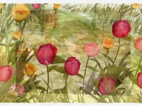 Batting Cages and Pitching Machines