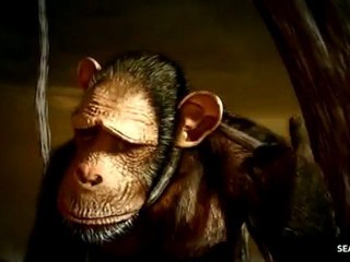 Réchauffement Climatique... (HQ)