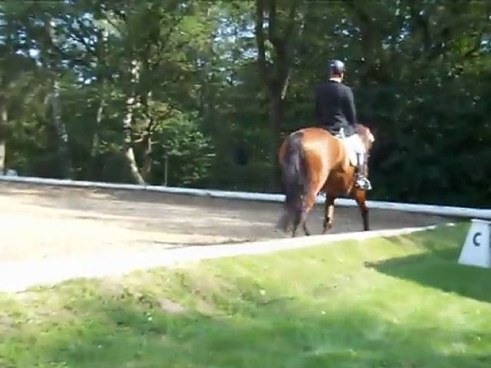 2011-09-03 Welteiro Kl. A in Uetzingen - Victory!