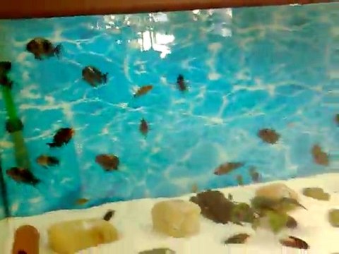 Hasan KARAKUŞ ( DUBOİSİ MASWA )