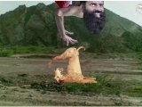 Comedy Show Jay Hind! Never Seen Before Ramdev Yoga Posture