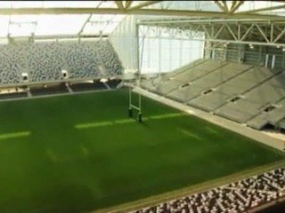 Mondiali - Lo stadio di Dunedin