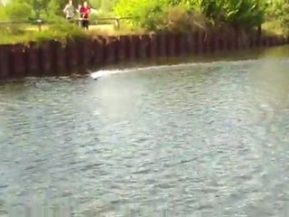 Shockwave MHZ Fegaio 380XL hacker master b-flight 60A