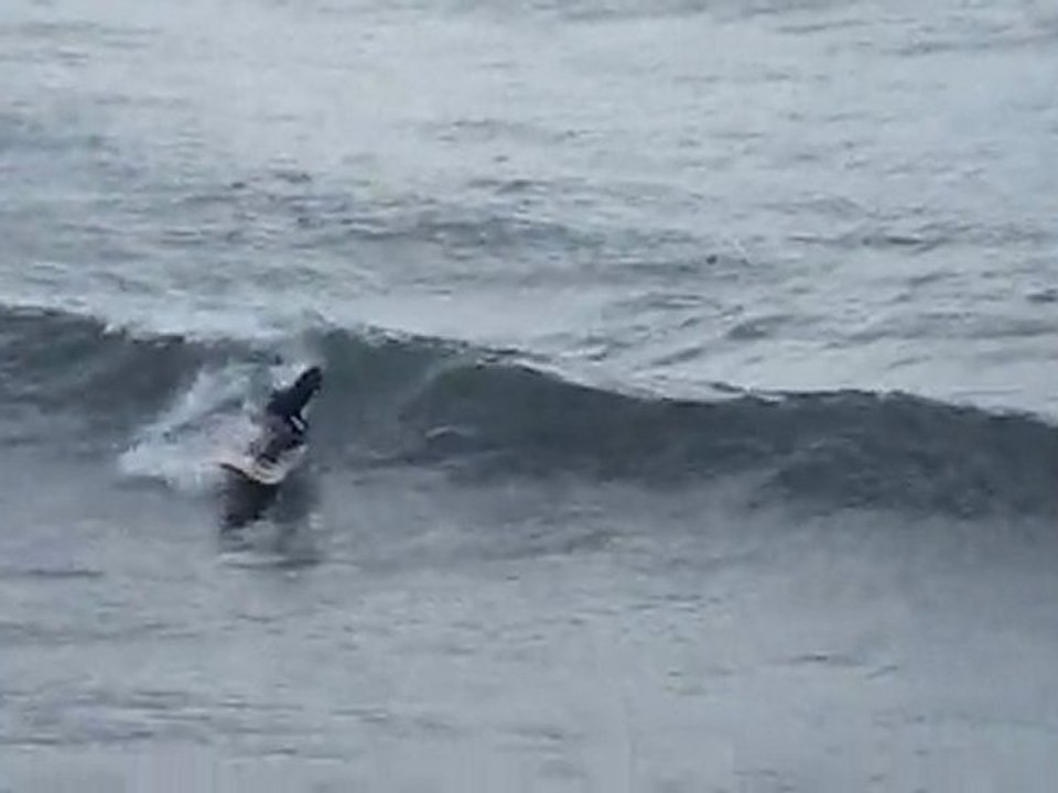 Paddle