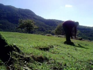 Forme et Résonance (Zen Do Ken)