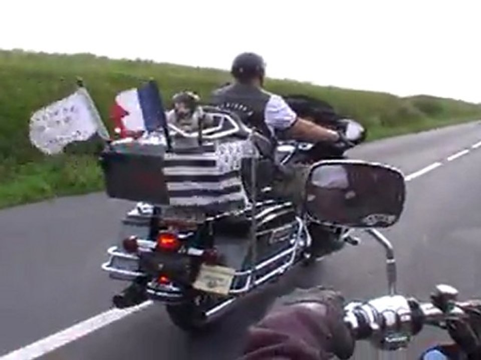 MOV01F