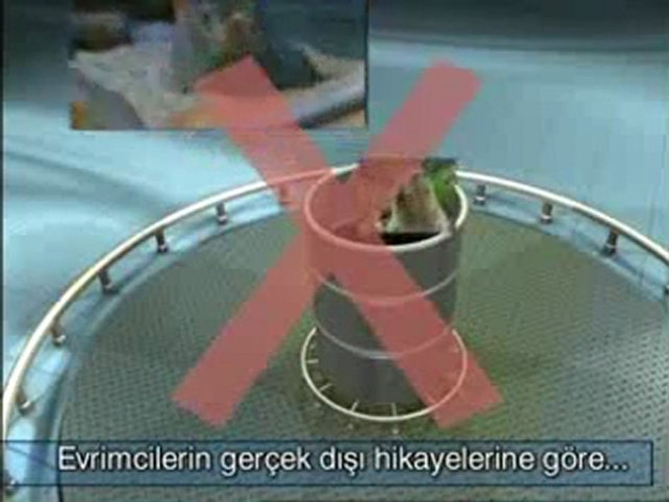 Evrimci bir safsata: Canlanan atomlar