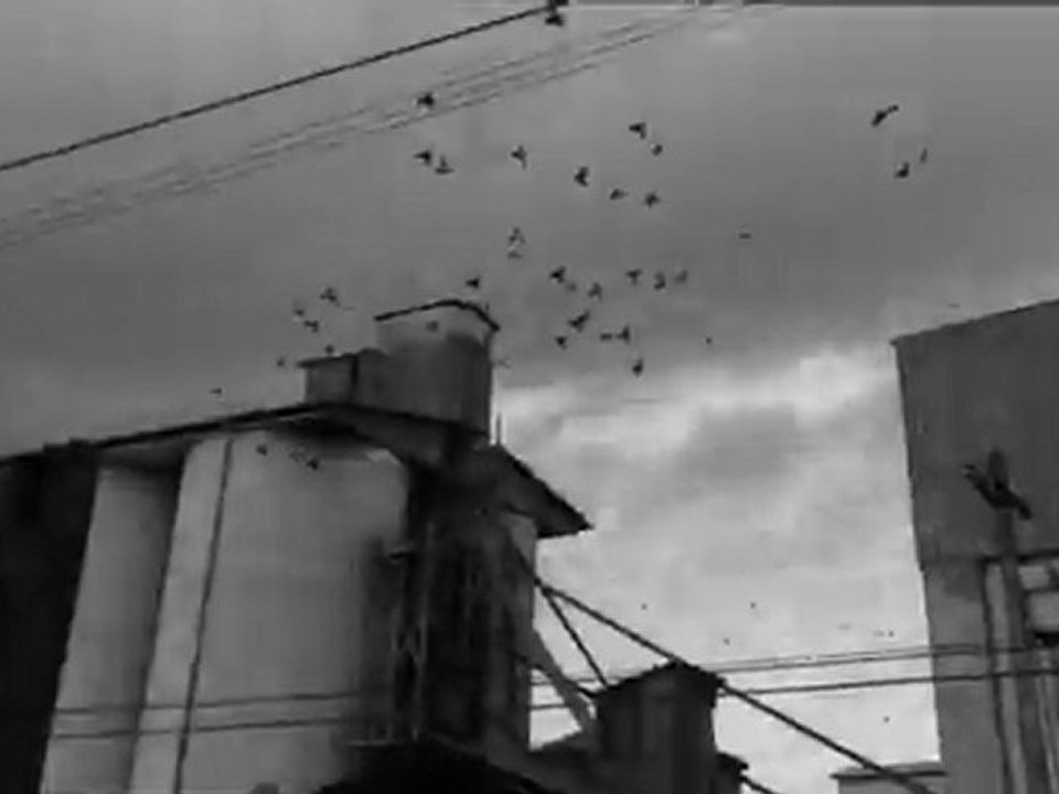 animacion de fotgrafias