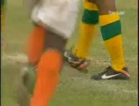 5ème journée des éliminatoires de la CAN 2012 : Niger 2 Afrique du Sud 1 / le Mena National a un pied à la CAN