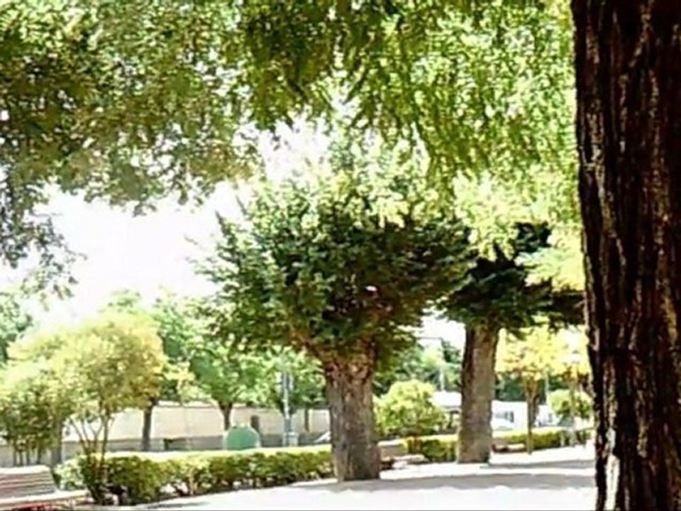 Paseo Real - Minaya