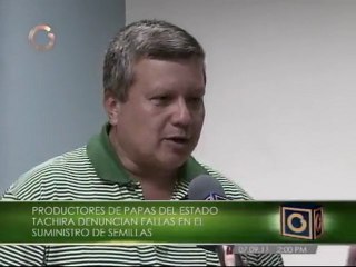 Precio de la Papa se dispara por falta de semillas