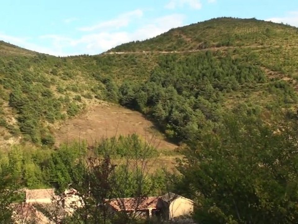 elía