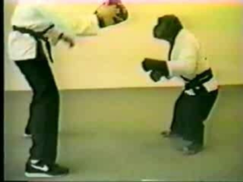 ChimpanzÃ de combat