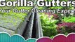 Gutter Cleaning Company in Berkeley