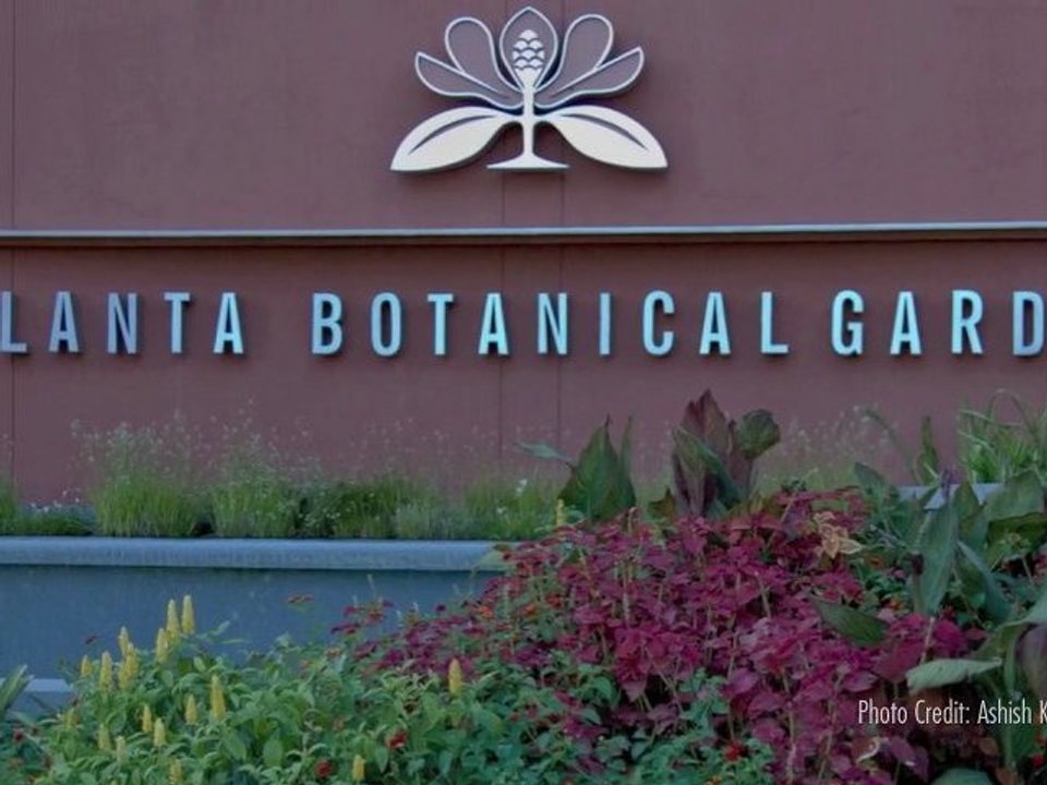 atlanta ga city guide - vidatown atlanta ga video - what to see travel tour attractions sampler video