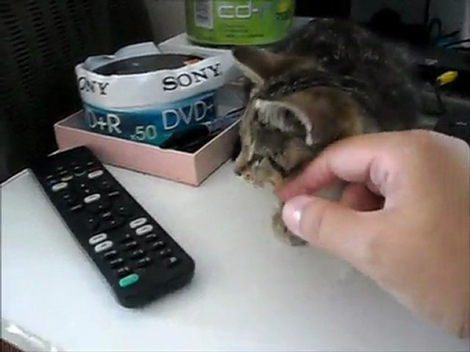 Cassandra le 05 09 11