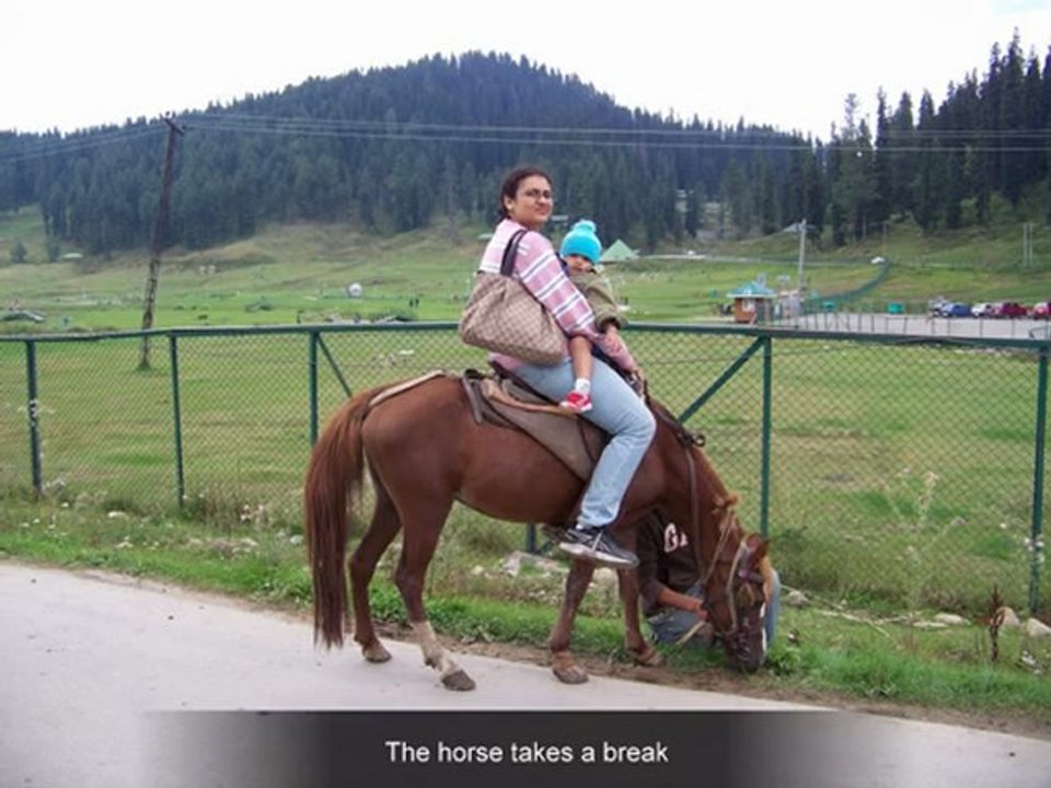 Our trip to Kashmir