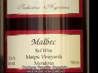 Organic Wine Mendoza