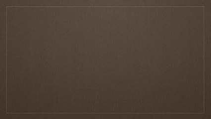 Delfines información y características