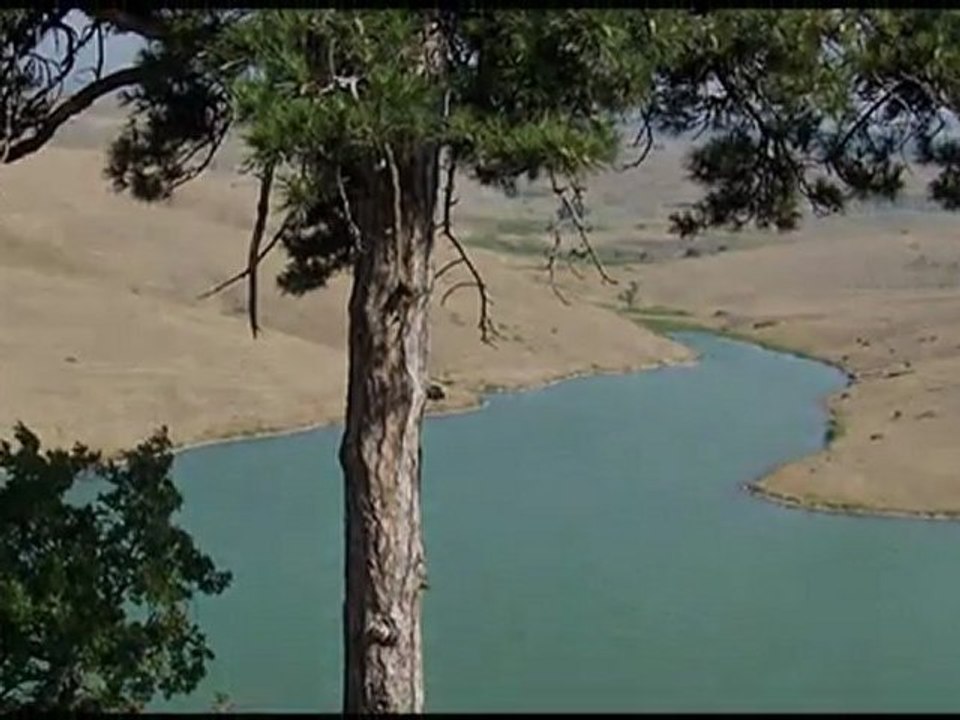 EBE PINARINDAN  DEDE KOYAGINA...