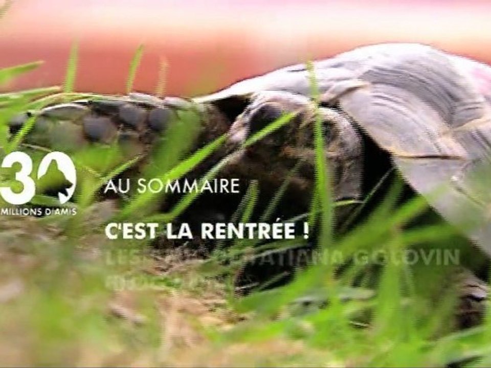 Sommaire du 11 septembre