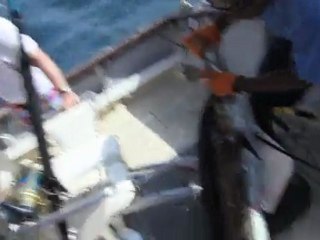 Sailfishing in the Lamu Archipelago, Kenya Filmed by THE MAJLIS HOTEL