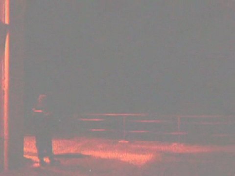 Des ombres dans la nuit : encore un castor qui passe...