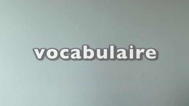 Apprendre la langue des signes LSF : vocabulaire, respect, à bientôt, à demain, oui, en forme, bof, ah bon ! politesse, bonne nuit mdd tv