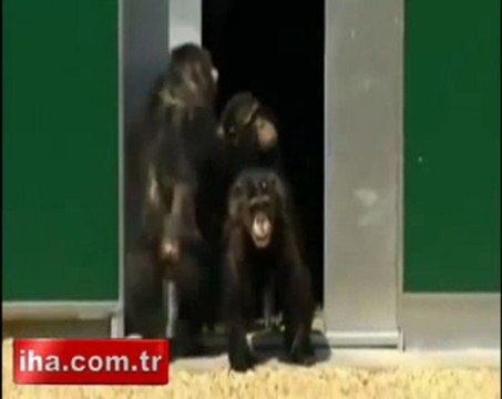 Video Galeri - Haber7 haber7.com - Güncel Haberler, Son dakika haberleri Bu noktada haber var