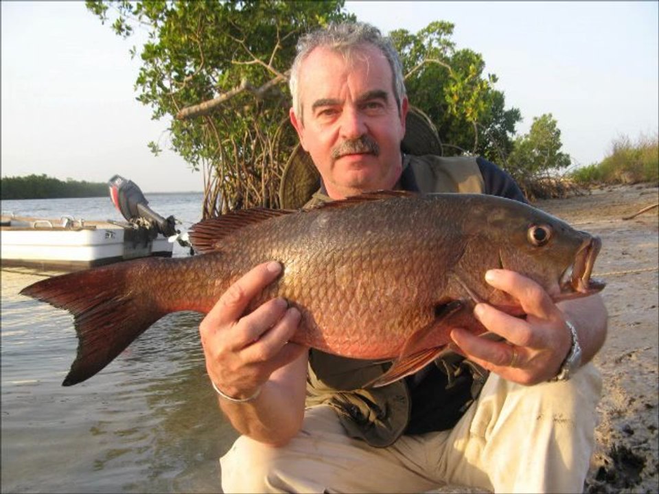 PECHE PLAISIR PLAGE PISCINE CAPSKIRRING SENEGAL Hotel Villa des Pecheurs