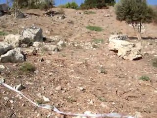 KARANTİNA ADASI AMFİTİYATRO KAZI ÇALIŞMALARI