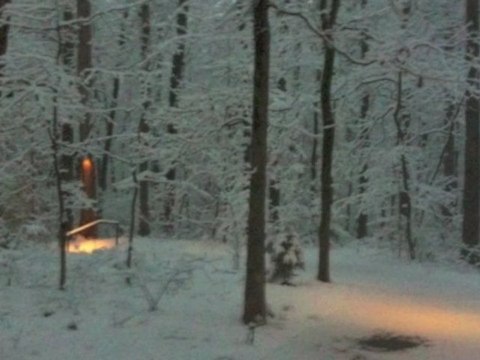 athens ga city guide - vidatown athens ga video - day chapel tour - ga state botanical gardens