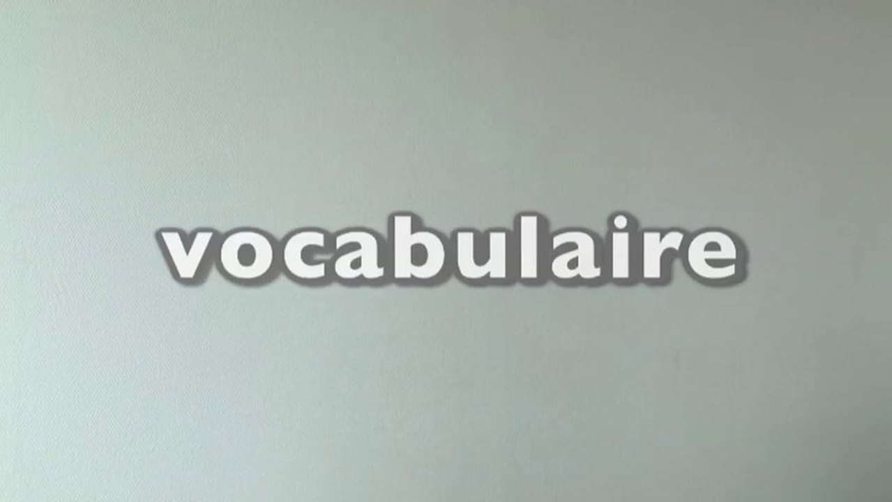 Apprendre la langue des signes LSF : vocabulair...