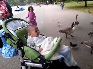 My Babyz Sweet Lough!