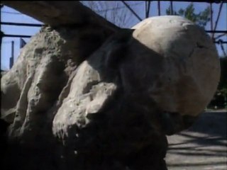 Pompéi : ensevelie vivante