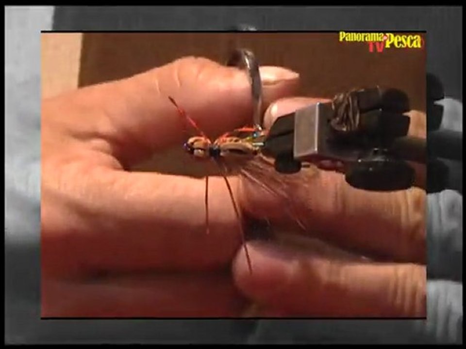 Panorama de Pesca TV 38