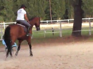 TRot