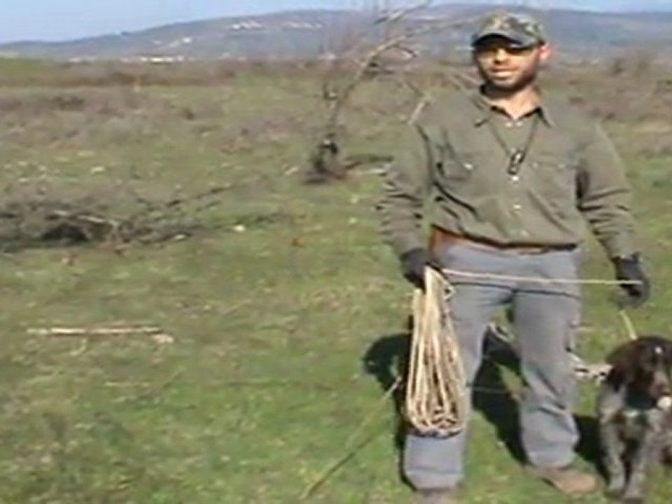 Kurzhaar vom Akhisar - fırlatma makinası eğitimi 1. Aşama