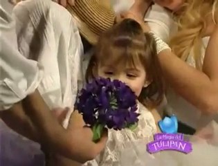 LA MAGIA DEL TULIPÁN - DESDE EL 17 DE SEPTIEMBRE 16 HRS TEATRO METRO