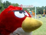 Real-Life Angry Birds at Chinese Amusement Park