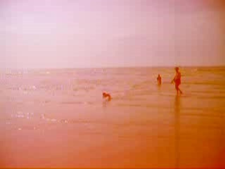 Vina à la plage