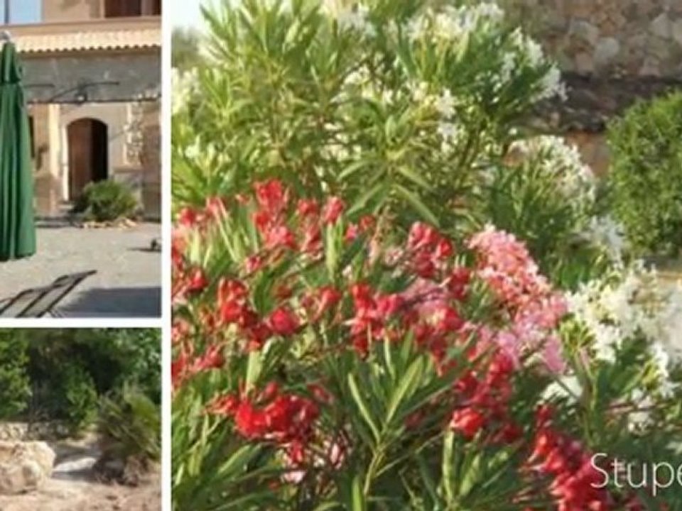 Santa Margalida: Romantische Finca für 2-4 Personen im Norden Mallorca ...