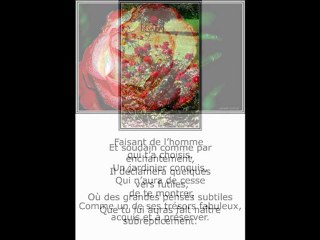 ©COMMELA ROSEPOEMETHOMASANDREPHOTOS&PHOTOS-PEINTUREMARTINE ANCIAUX©