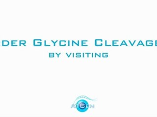 DLD Glycine Cleavage L recombinant proteins