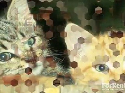 Paces Crossing Apartments in Norcross, GA - ForRent.com