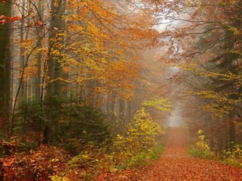 AŞIK MAHZUNİ ŞERİF-SABAHAT AKKİRAZ-DAĞLAR DUMAN BÖYLE