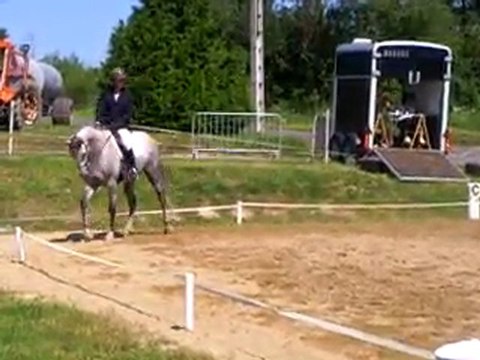 Rafine du thot en concours de dressage mi aout